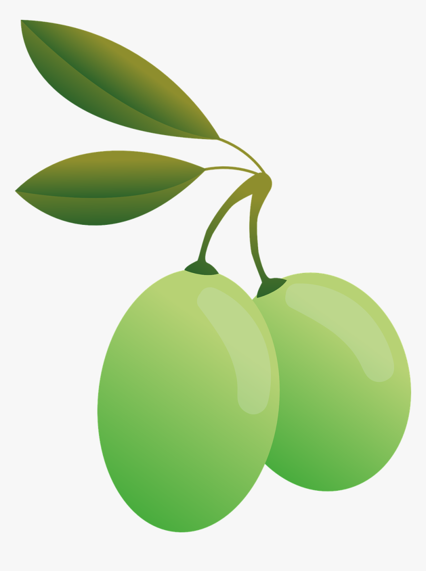 Olive Transparent Background, HD Png Download