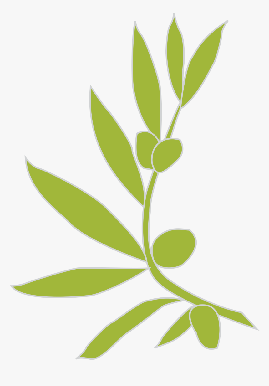 Leaf Branch Clipart Transparent Background, HD Png Download