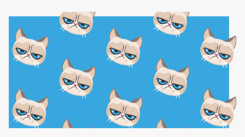 Domestic Short-haired Cat, HD Png Download