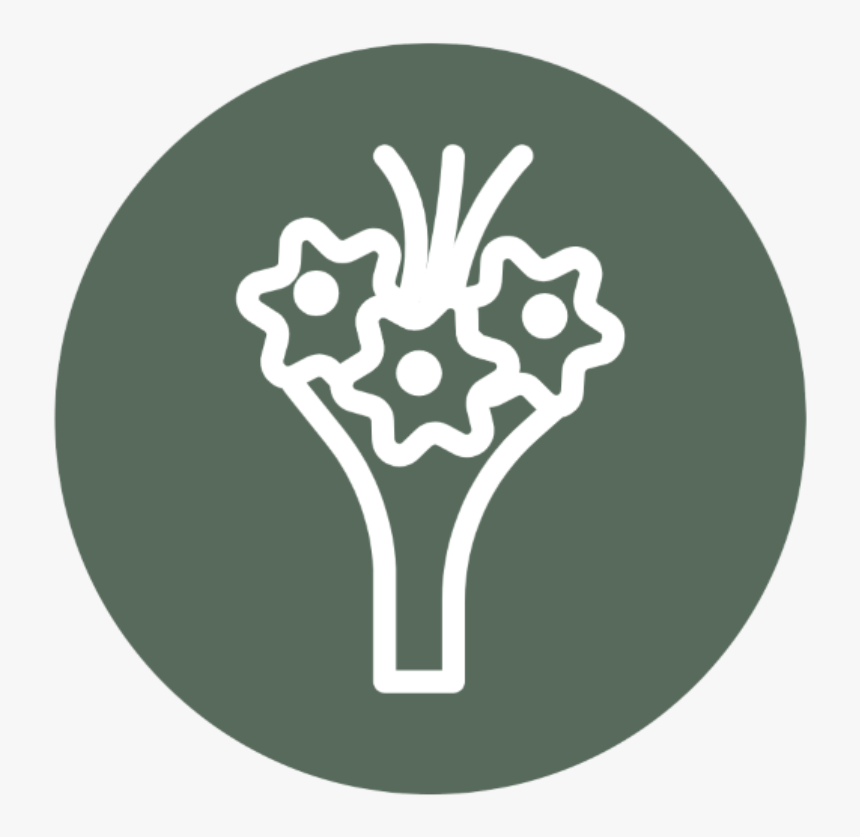 Bouquet Icon - Illustration, HD Png Download