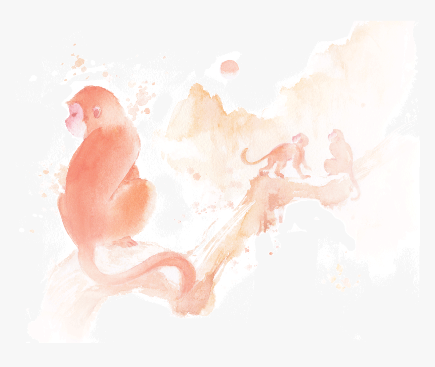 Visual Arts, HD Png Download