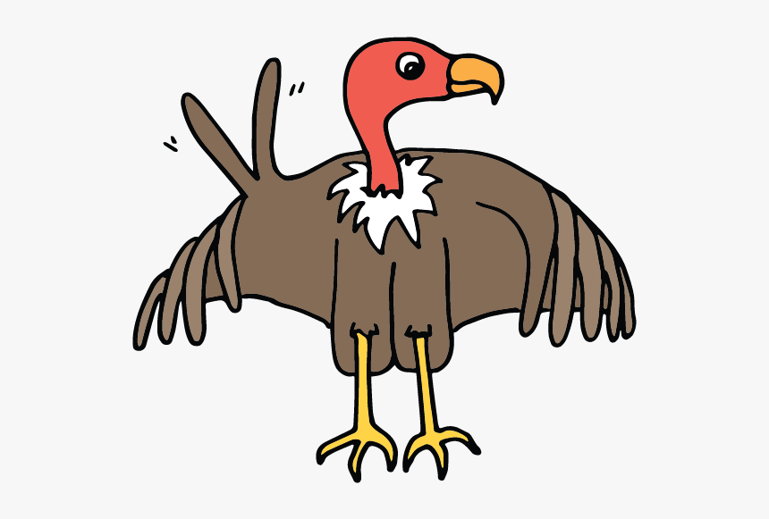 Animals V - Turkey, HD Png Download