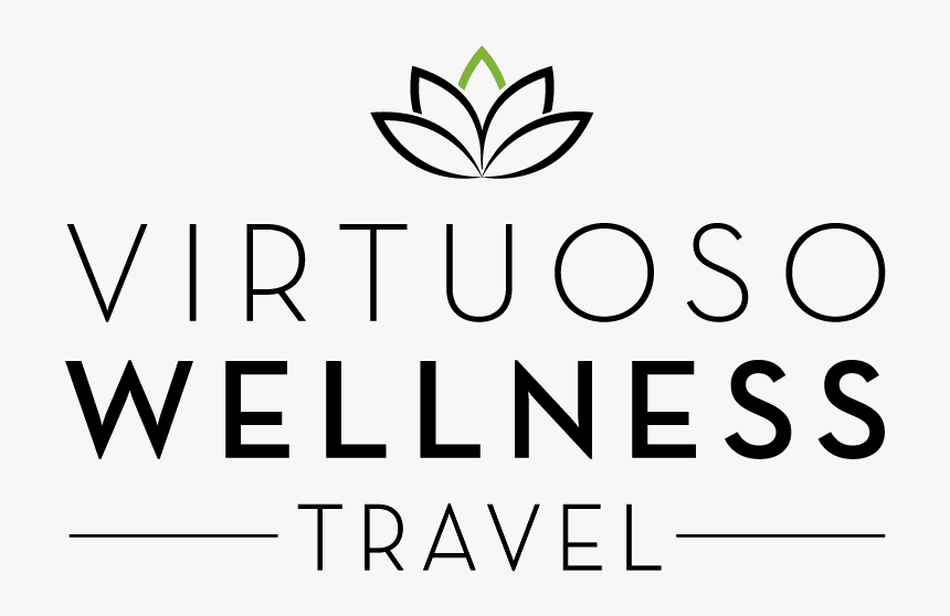 Virwellness Final Logo Mar2017 - Graphics, HD Png Download