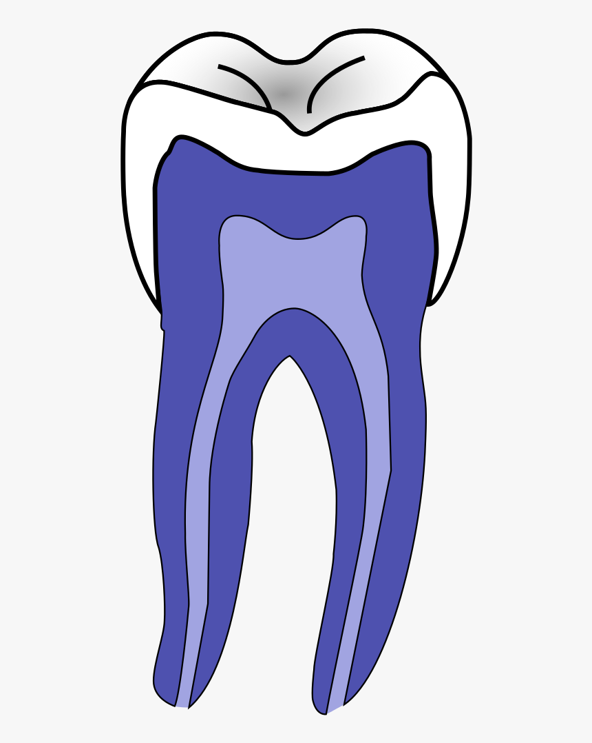 Dentistry, HD Png Download