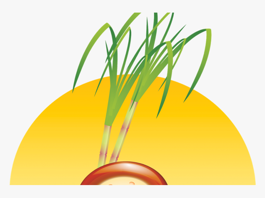 Sankranthi Files Psd Free Download For In Sankranti - Sankranti Png, Transparent Png