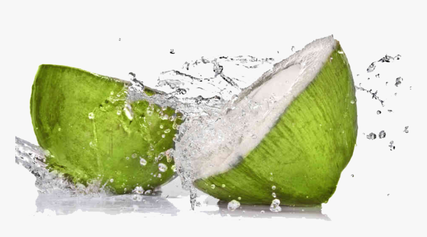 Graphic Freeuse Stock Transparent Coconut Tender - Coconut Fresh, HD Png Download
