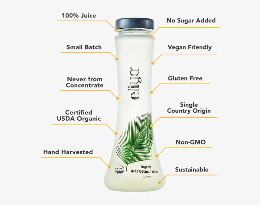 About Eliya Small - Bottle, HD Png Download