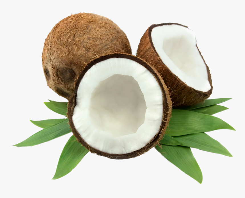 Coconut, HD Png Download