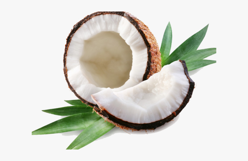 Cute Coconut Transparent Background, HD Png Download