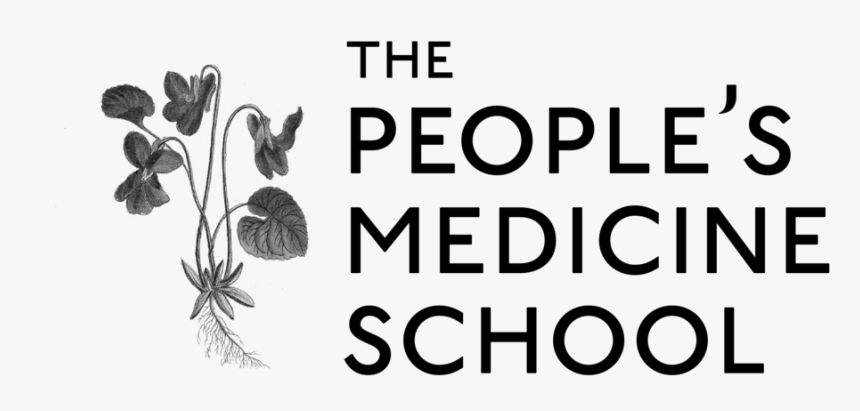 Version 3 Logo Pms-01 - Rabbit, HD Png Download