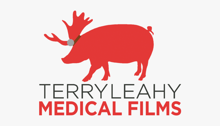 Terryleahy-medical - Reindeer, HD Png Download