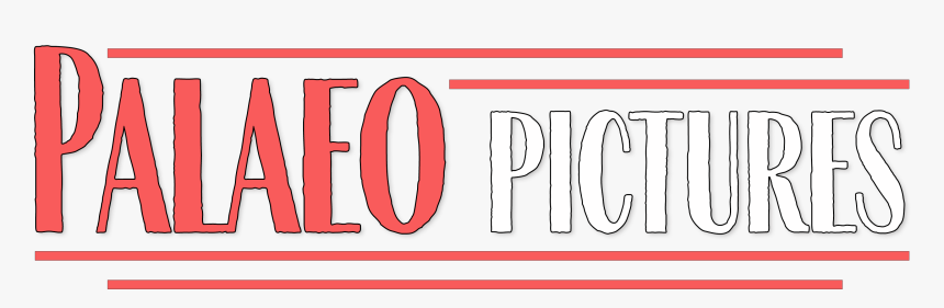 Palaeo Pictures - Oval, HD Png Download