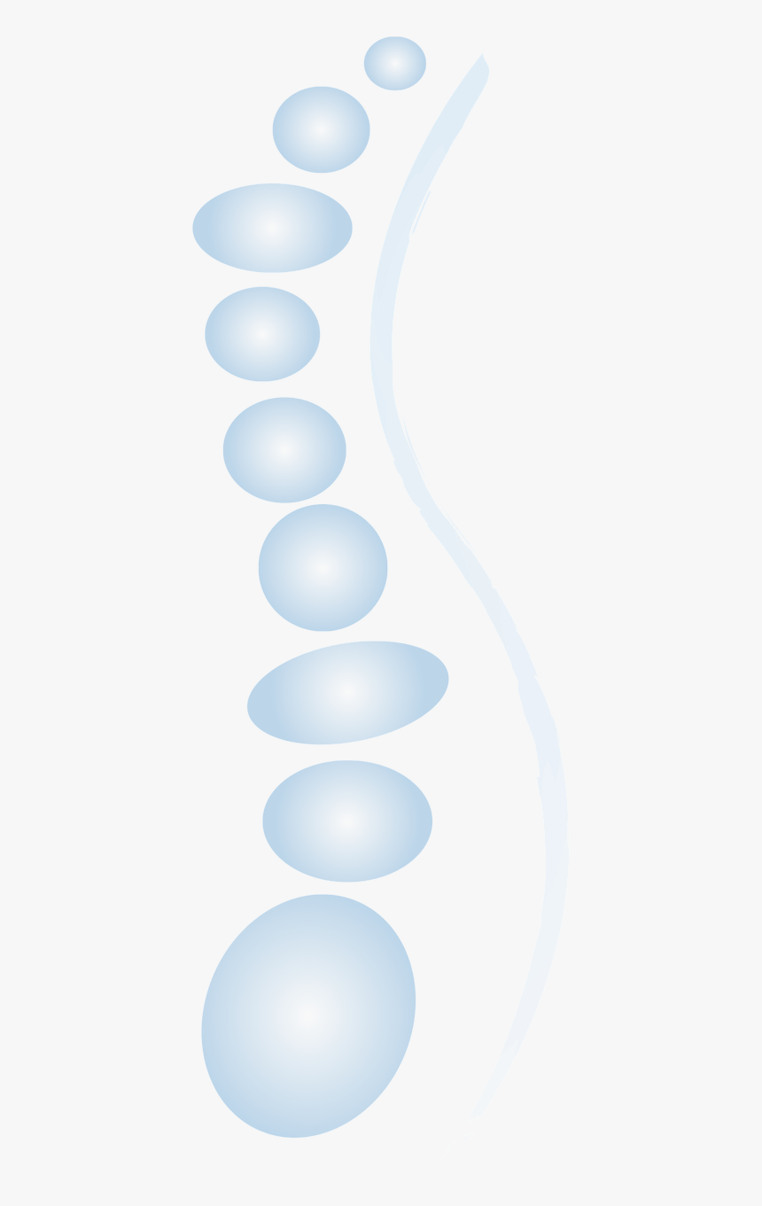 Spine Ellipses Circle, HD Png Download