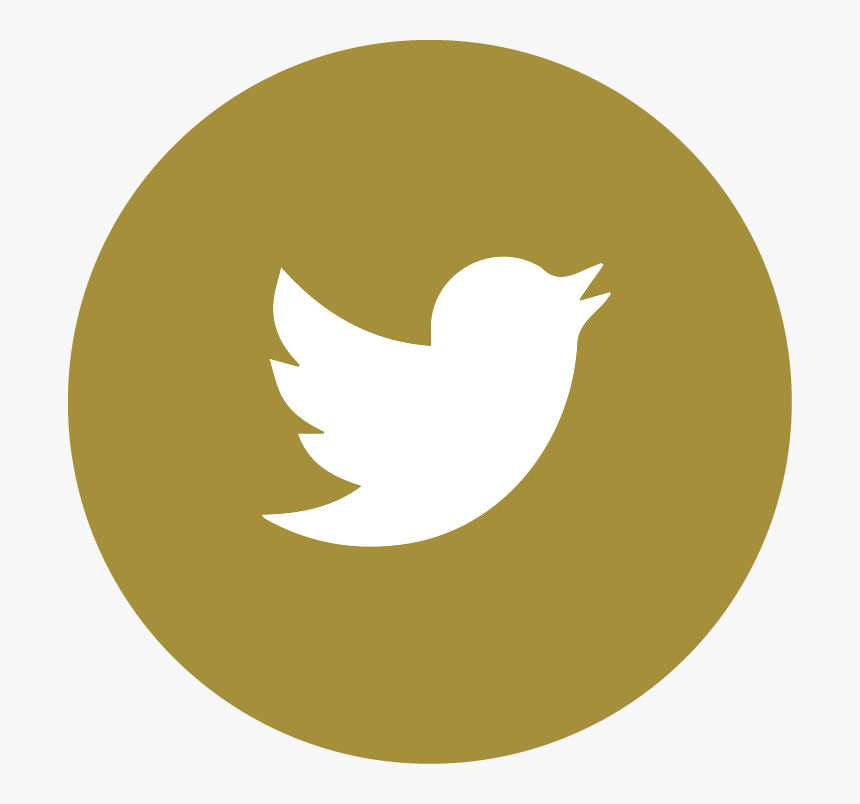 Transparent Cafe Icon Png - Twitter Logo Png Hd, Png Download