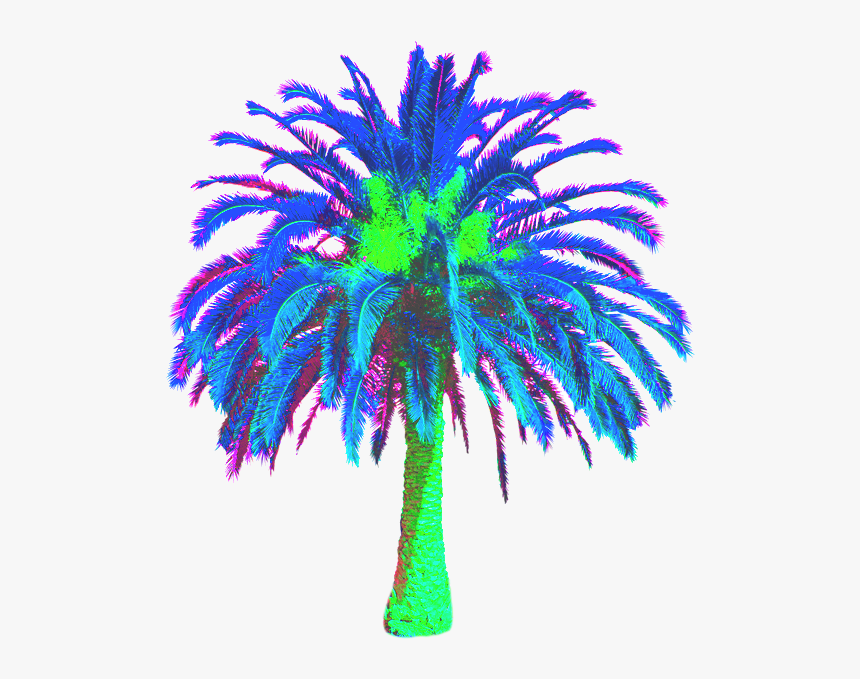 Transparent Vaporwave Palm Tree Png - Date Palm Tree Png, Png Download