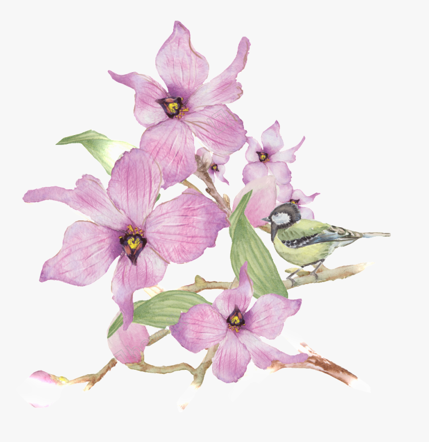 Royalty Free Library Wreath Watercolor Flowers Free - Watercoulor Purple Flowers, HD Png Download