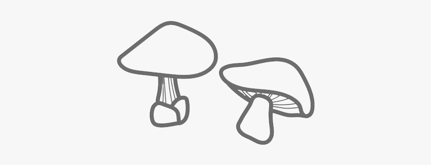 Sketch, HD Png Download