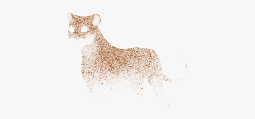 Kromfohrländer, HD Png Download