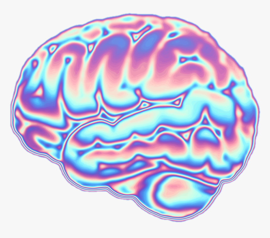 Brain Transparent Vaporwave - Illustration, HD Png Download