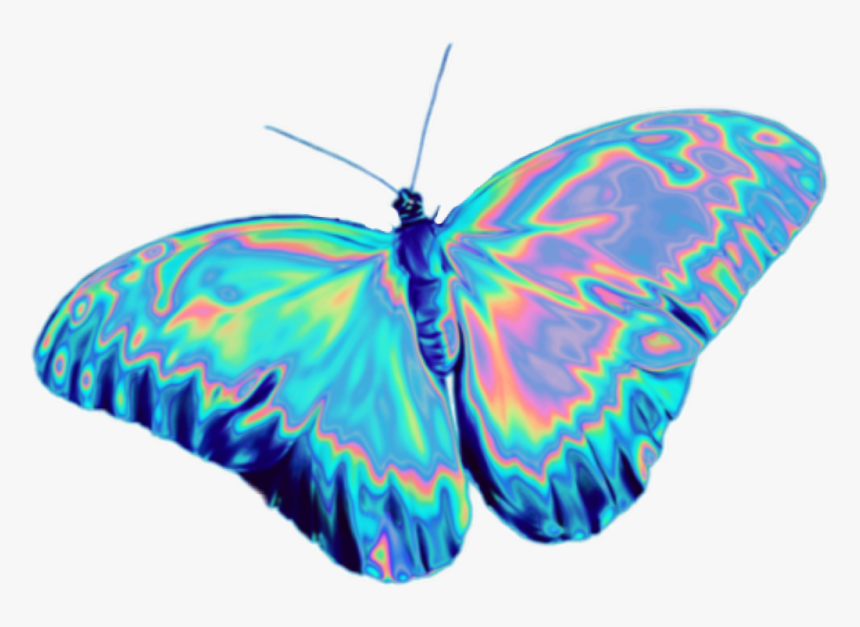 Holographic Butterfly Png, Transparent Png