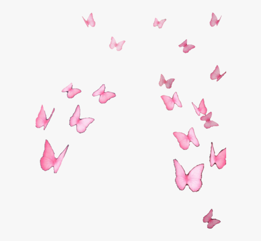 Butterfly, HD Png Download