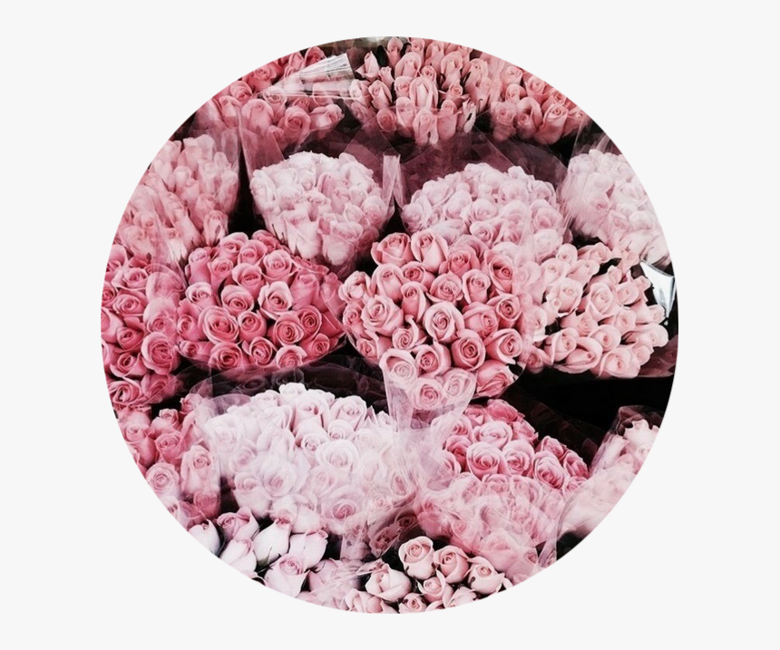 Flower, HD Png Download