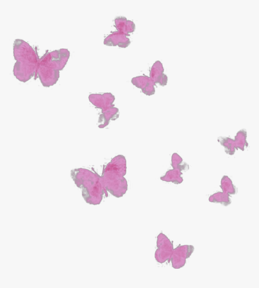 #ftestickers #watercolor #butterflies #pink - Pieridae, HD Png Download