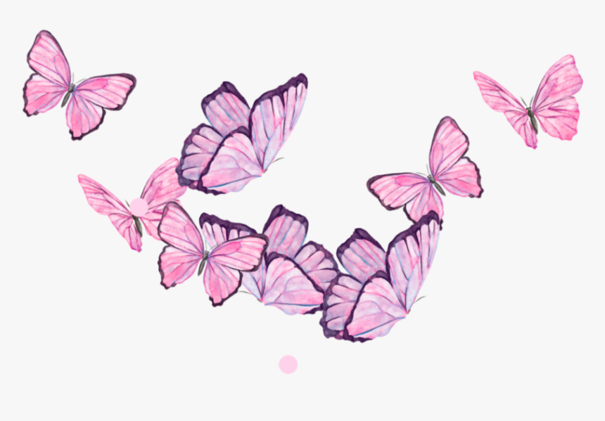 รูป การ์ตูน ผีเสื้อ Png, Transparent Png