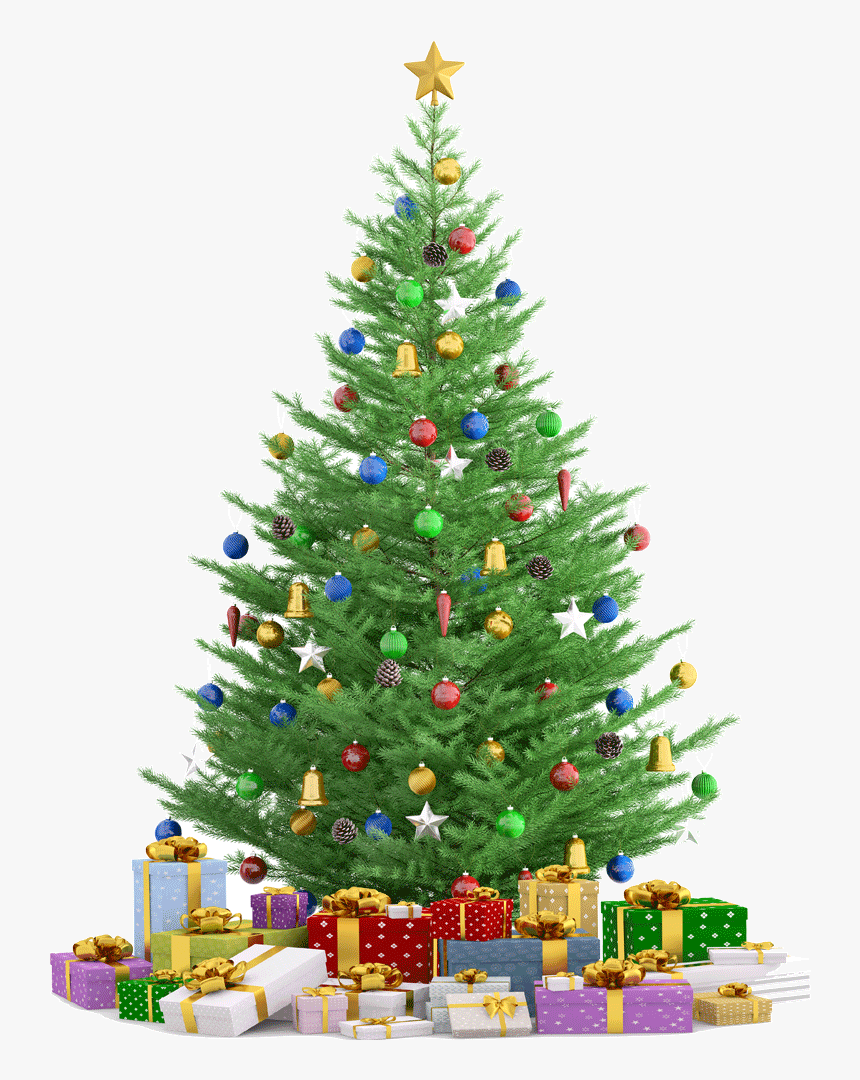 Christmas Tree Render, HD Png Download