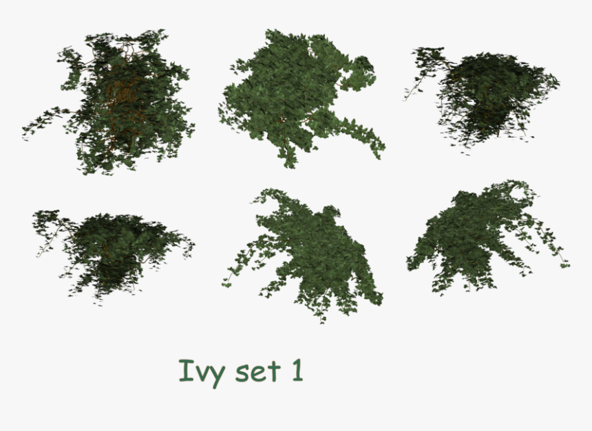 Ivy Clipart Psd - Ivy Top View Png, Transparent Png