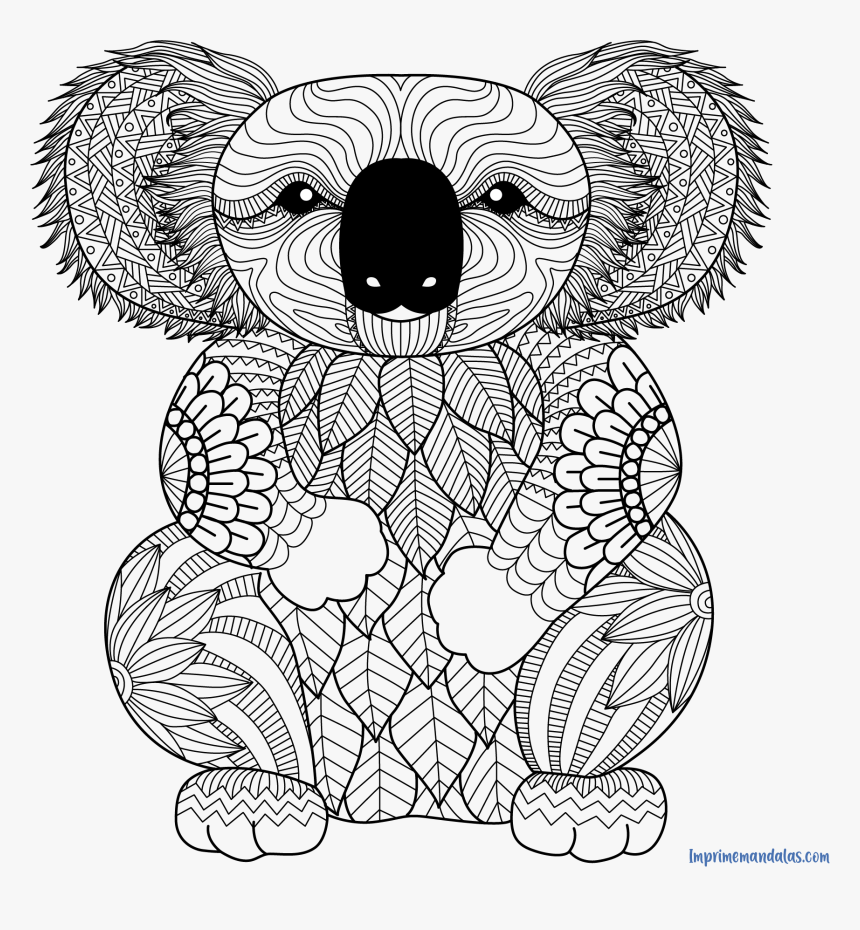Printable Koala Coloring Pages HD Png Download Transparent Png Image 