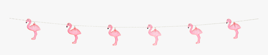 Greater Flamingo, HD Png Download