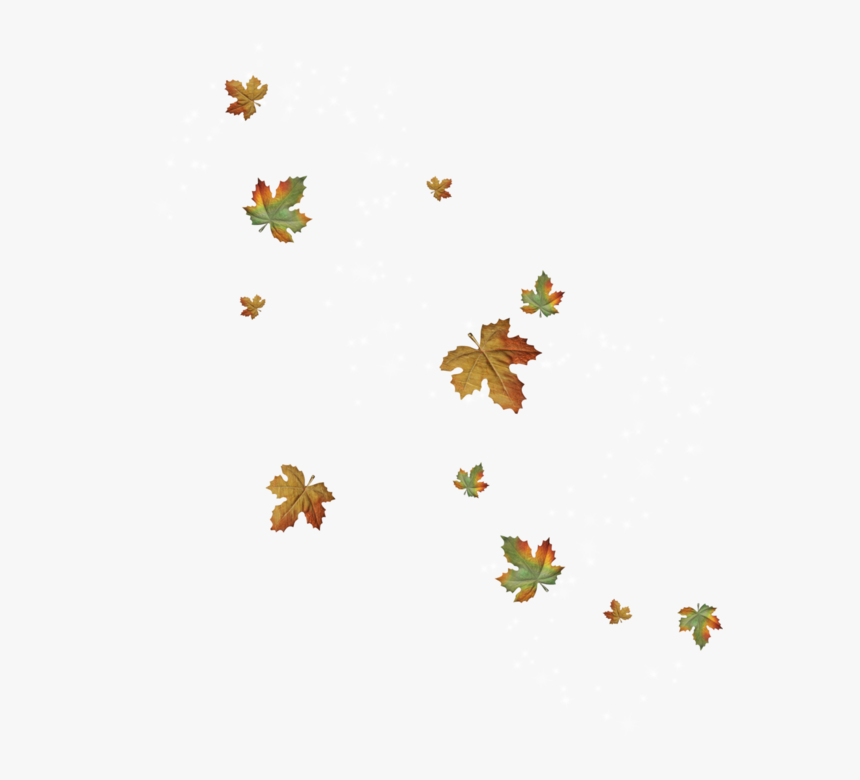Foglie Cadute Png, Transparent Png
