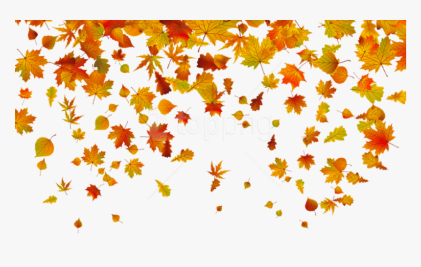 Fall Leaf Clipart Transparent Background - Fall Leaves Png Transparent, Png Download