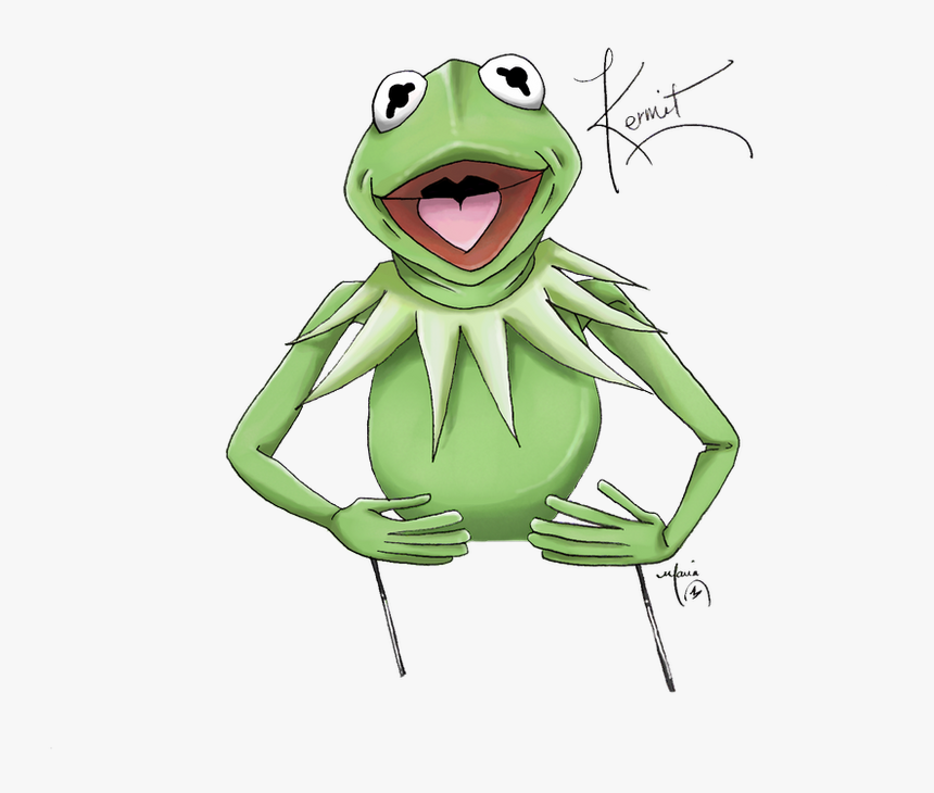 Bullfrog, HD Png Download