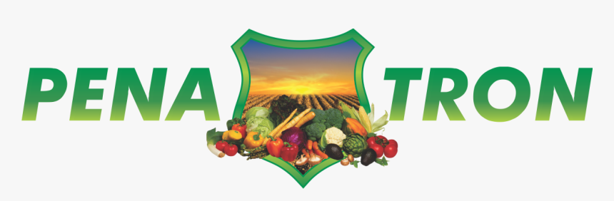 Vegetables, HD Png Download