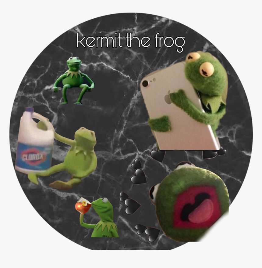 Frog, HD Png Download