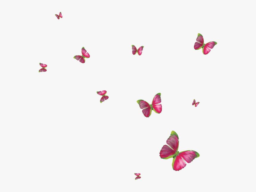 Clipart Butterflies Butterfly Clip Art, Butterflies, - Blue Butterfly Frame Free, HD Png Download