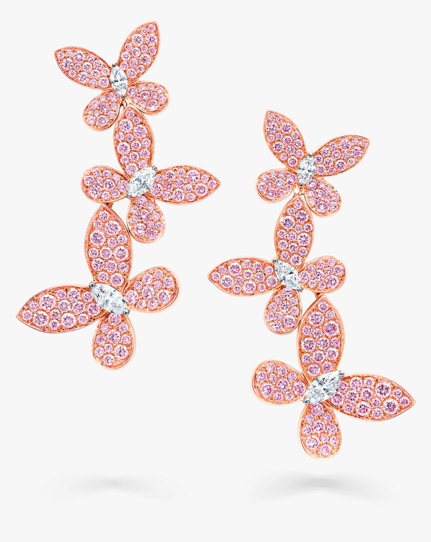 Insect, HD Png Download