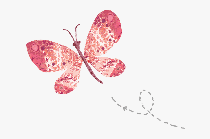 Butterfly, HD Png Download