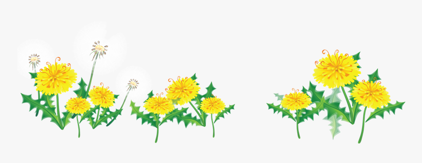 Res] Flower Border By Hanabell1 On Clipart Library - Transparent Flower Border, HD Png Download