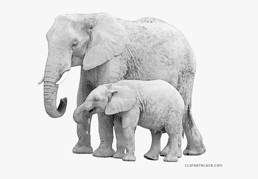 Elephant Clipart Baby Animal, HD Png Download