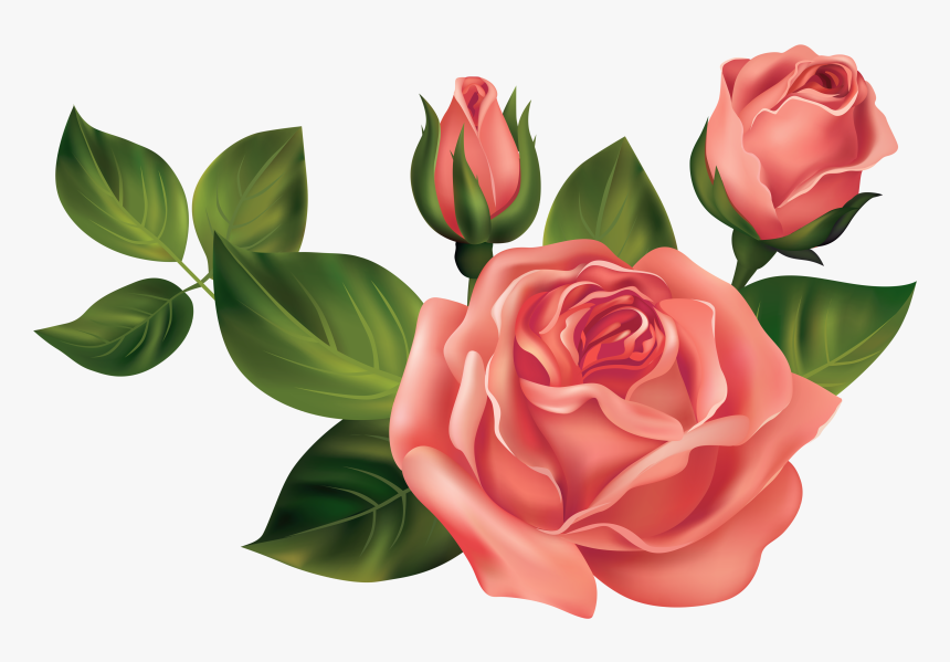 Transparent Roses Png Clipart Picture - Transparent Images Of Roses, Png Download