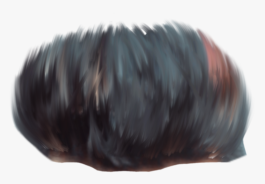 Lace Wig, HD Png Download