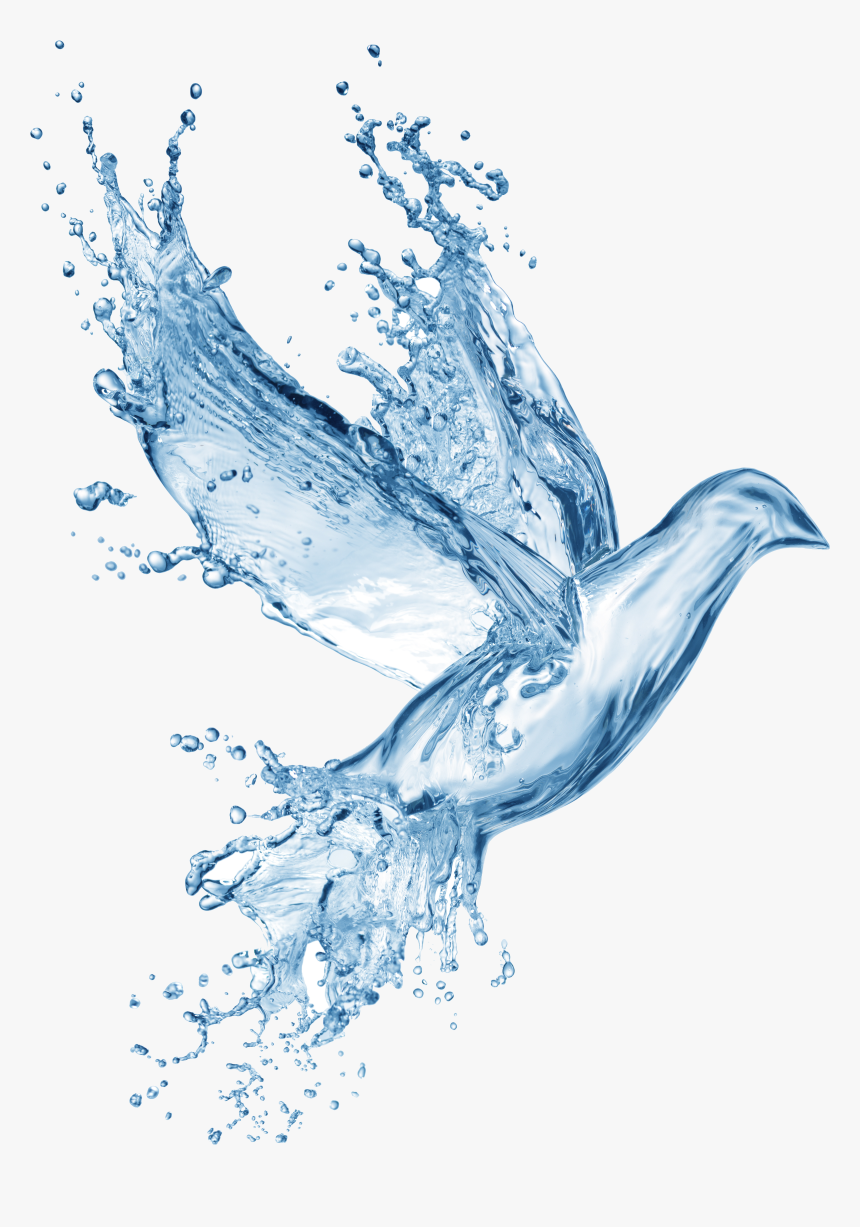 #bird #dove #water #splash - Holy Spirit Symbols Water, HD Png Download