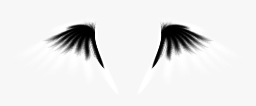 Fish, HD Png Download