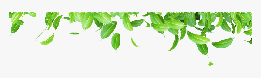 Листья Gif На Прозрачном Фоне, HD Png Download