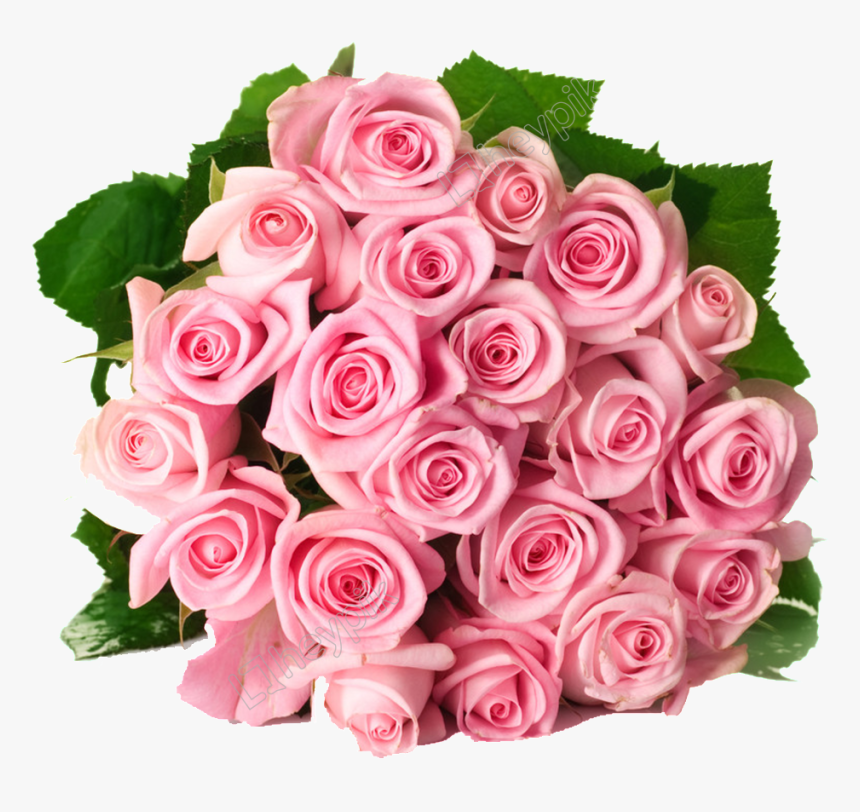 Pink Roses Bouquet Png - Rose, Transparent Png