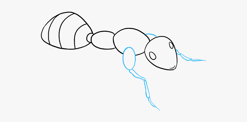 How To Draw An - Draw A Picture Of An Ant, HD Png Download