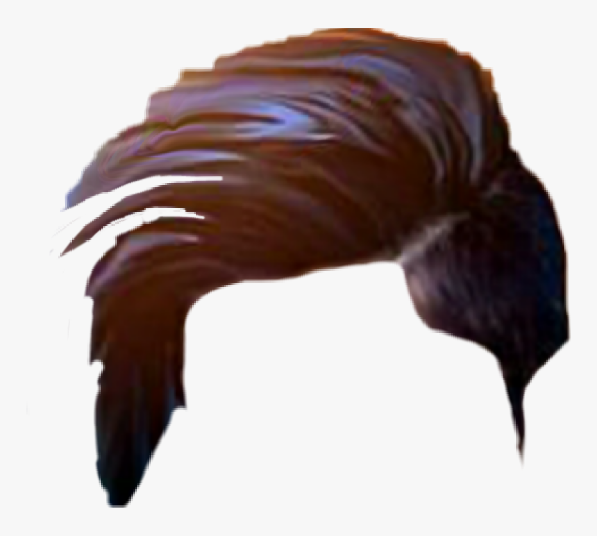 Hair Png, Hair Png Cb, Picsart Hair Png, Cb Hair Png, - Water Bird, Transparent Png